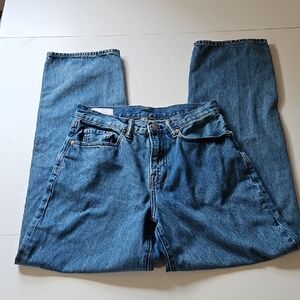 Gap Mens Baggy Fit Med Wash Jean SZ 29/32 From Spring 2024